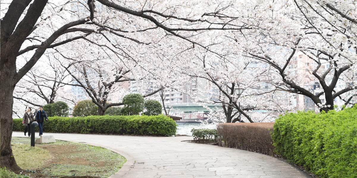 🌳 오이즈미 중앙공원 (오이즈미추오코엔) 이미지 7